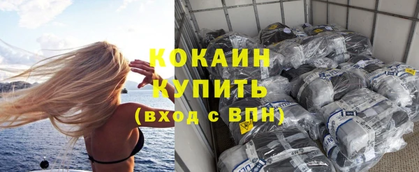 стаф Осташков