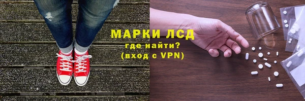 стаф Осташков