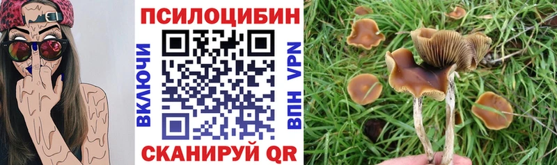 Псилоцибиновые грибы MAGIC MUSHROOMS  Купить  Карабаново 