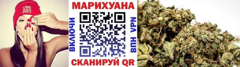 Купить закладки  Карабаново  Бошки марихуана сатива 